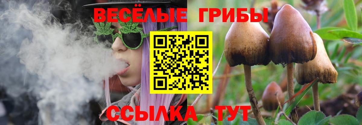 Псилоцибиновые грибы Psilocybine cubensis  Вход с VPN  Апатиты  Галлюциногенные грибы прущие грибы 